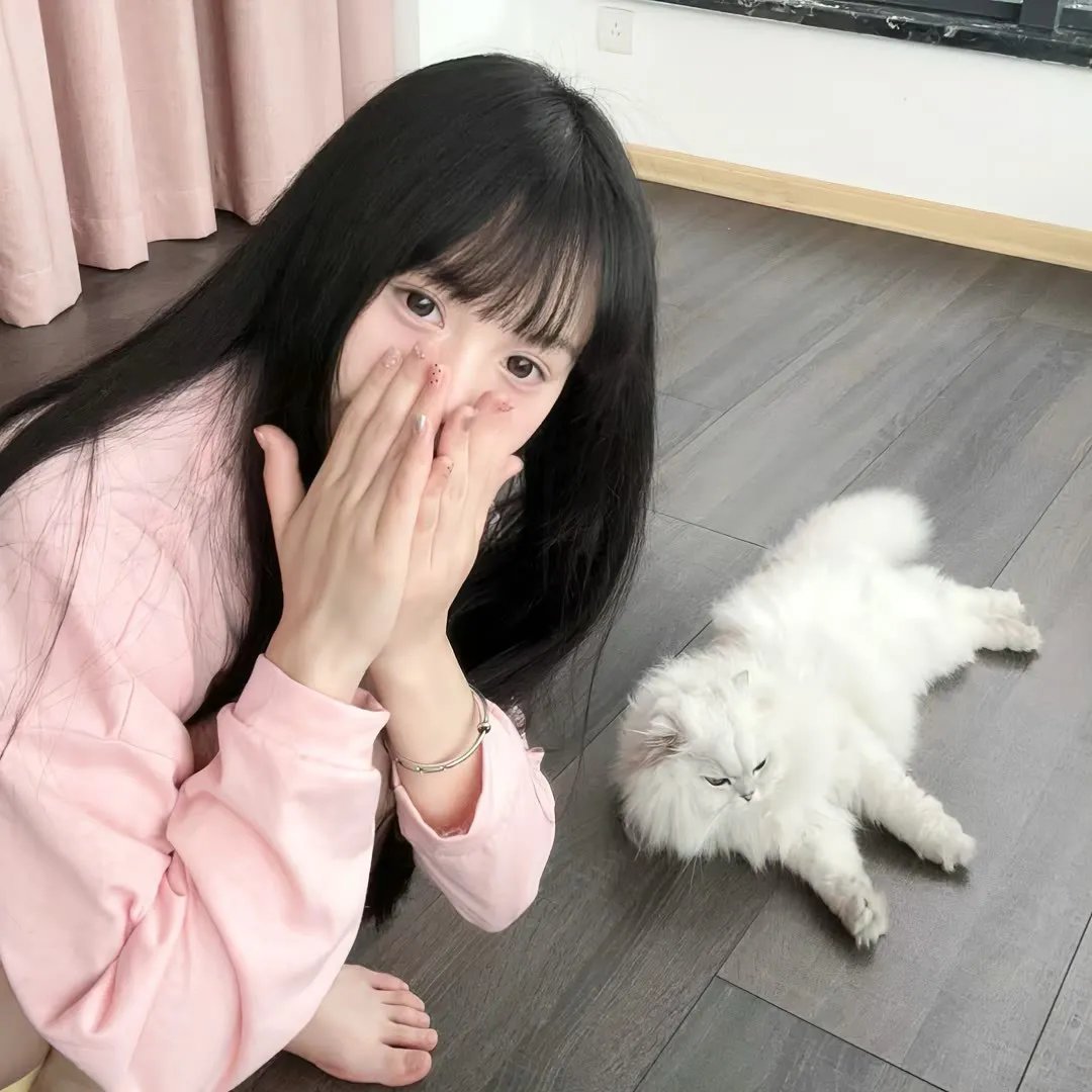 梦乡2019